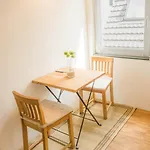 Altstadt Centralissimo Appartement